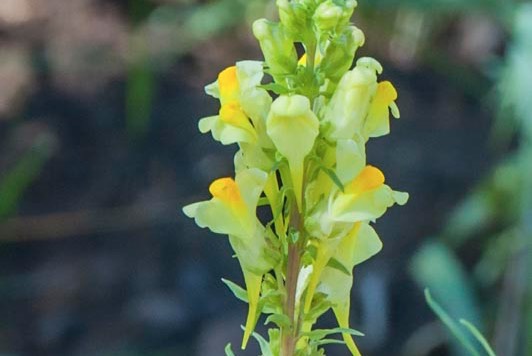 DSC_3982 Edit%20Small